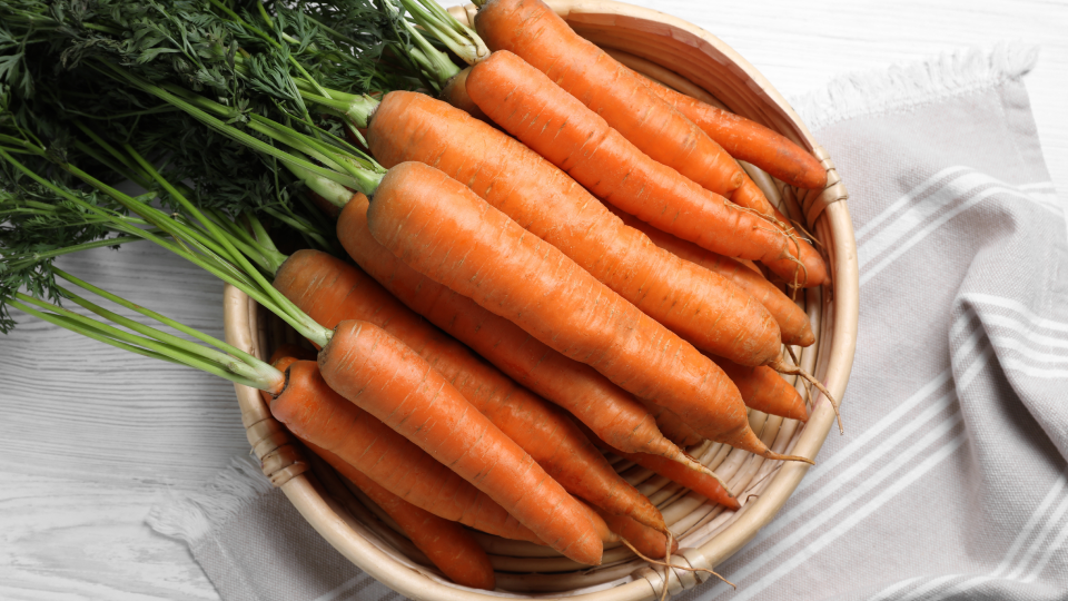 수족냉증, 혈액순환, 뇌졸증, 혈액, 면역력