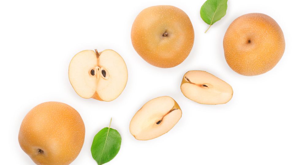 기관지, 기관지건강, 목건강, 목감기, 기관지건강음식