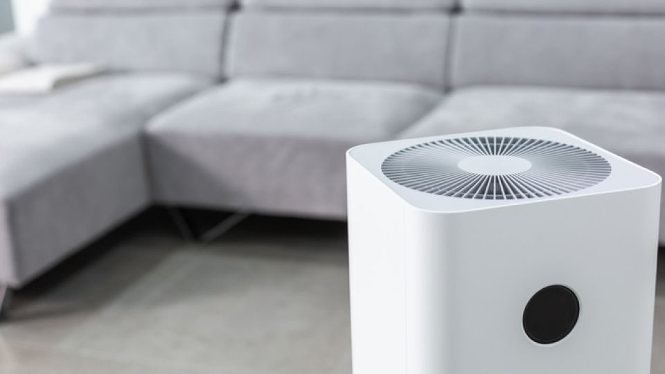 천식, 미세먼지, 호흡기질환, 심혈관질환, 천식, 미세먼지 나쁨, 환기