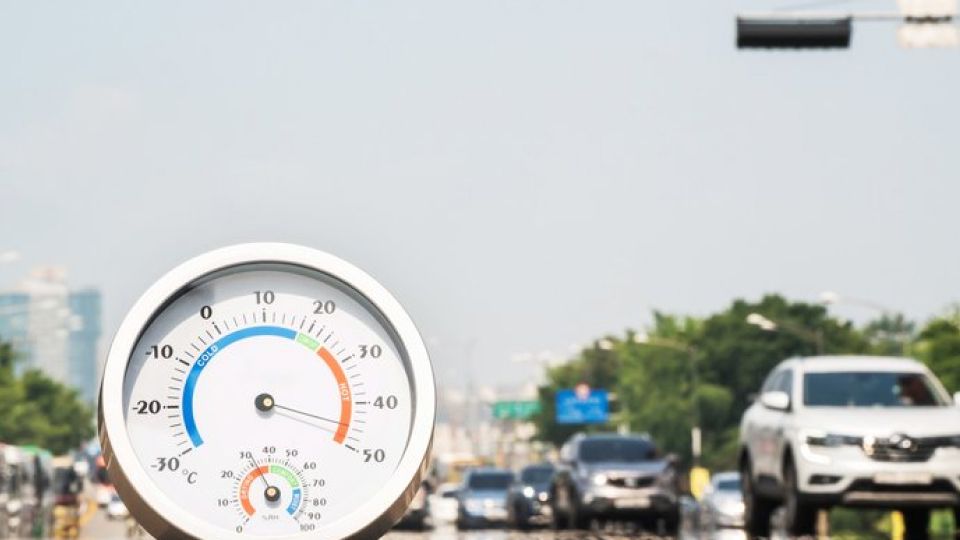 폭염, 폭염 행동요령, 열사병, 일사병, 온열질환, 일사병 증상, 열사병 증상, 온열질환 증상