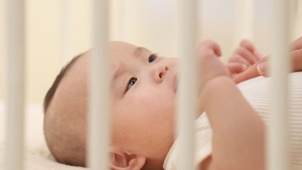 안전사고 대처법, 응급조치, 숨막힘, 기도 막힘, 코피, 추락, 낙사, 개물림,