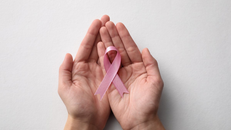 질염,자궁경부암,자궁근종,유방암,난소암,폐경기