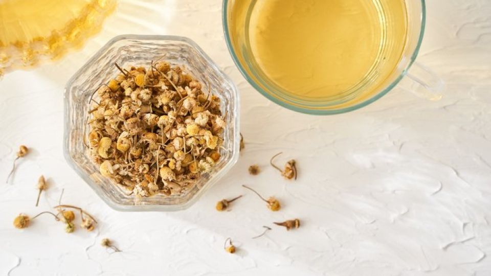 탈수,물,수분,카페인,이뇨작용,피로,어지러움,음료수,수분보충,수분대체요법