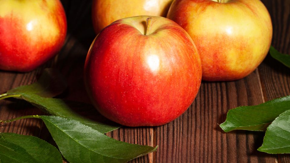 사과 표면의 끈적한 물질.jpg