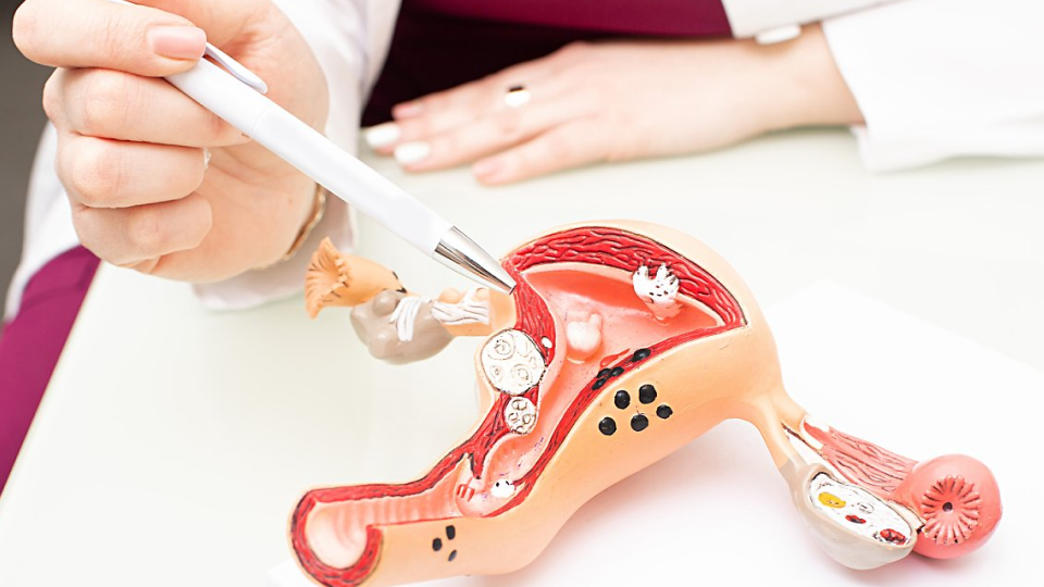 자궁경부암, 위험성, 원인, 검사, 정의