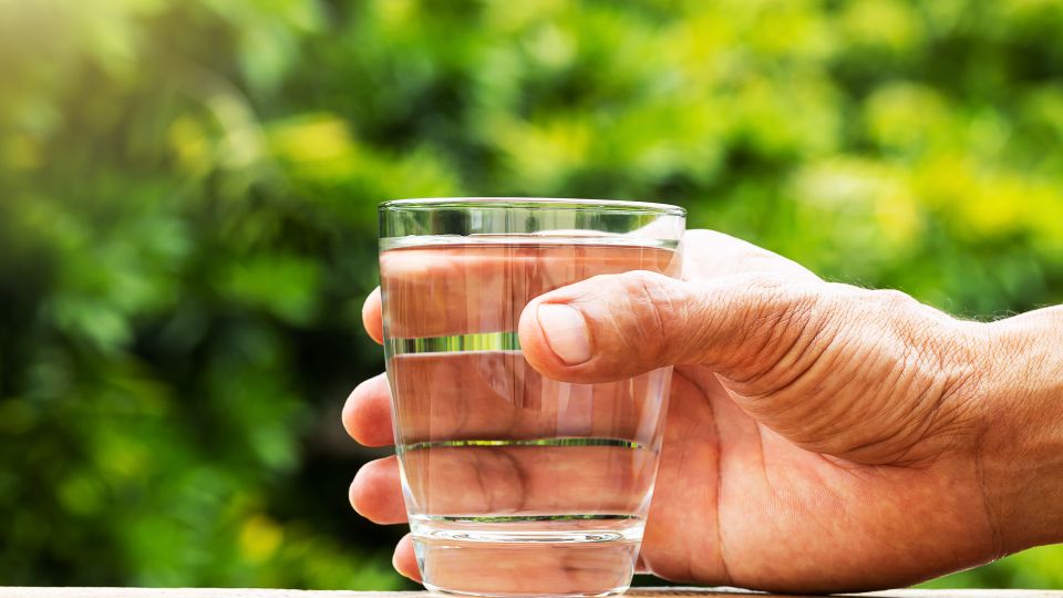 코로나 해열제 복용, 열, 시간