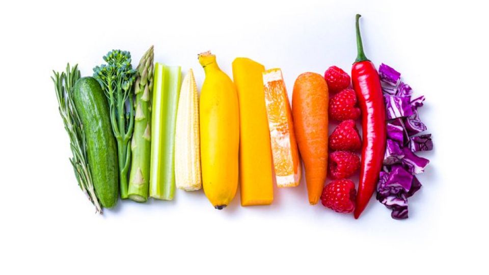 안티에이징, 비타민D, 노화, 방광, 항산화, 신진대사