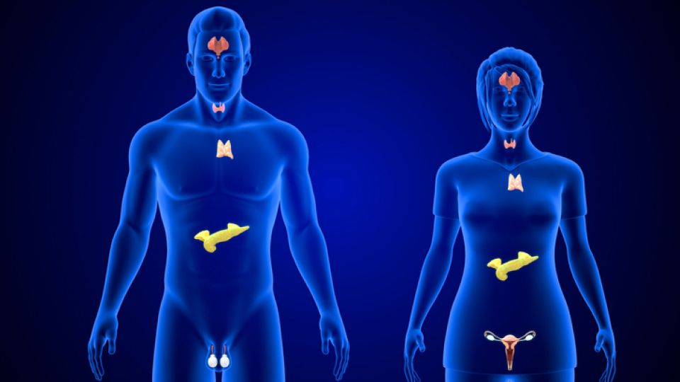 간헐적 단식, 대사질환, 당뇨병, 혈압 조절, 고혈압, 기분장애, 우울증