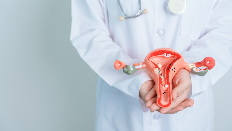 자궁경부암, HPV, 증상, 자가진단, 암