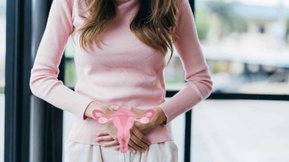 성병,성병종류,성병검사,매독,매독증상,매독검사,매독1기증상,매독치료,매독원인