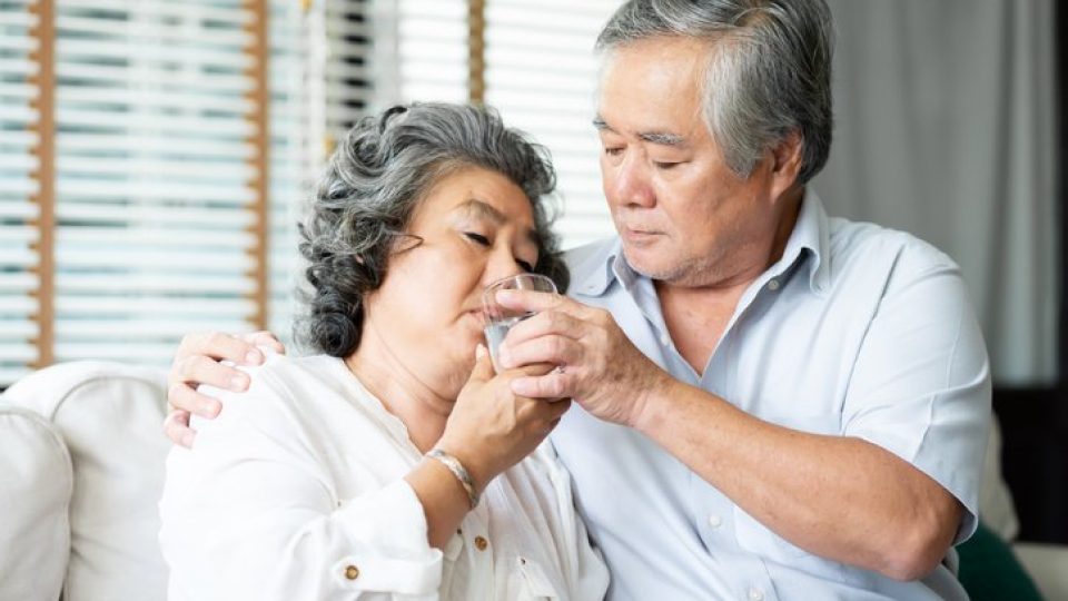 고용량 독감백신, 고령층, 독감주사, 예방접종, 독감예방