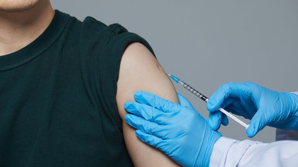 어른 백신 접종.jpg