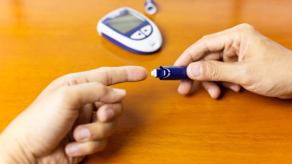 간헐적 단식, 단식, 다이어트, 식단, 비만