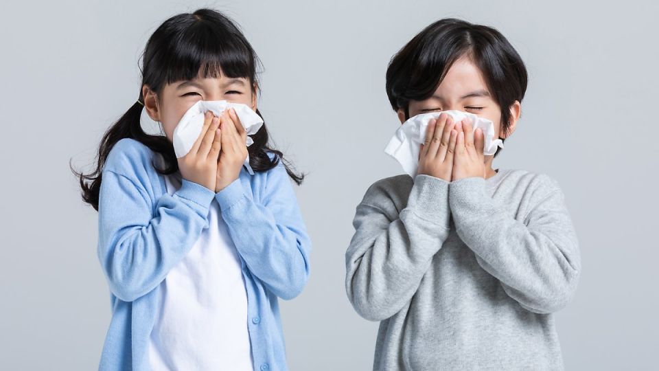 알레르기비염,알레르기비염치료,만성비염,소아비염,비염코막힘,꽃가루알레르기,비염치료,코가막힐때