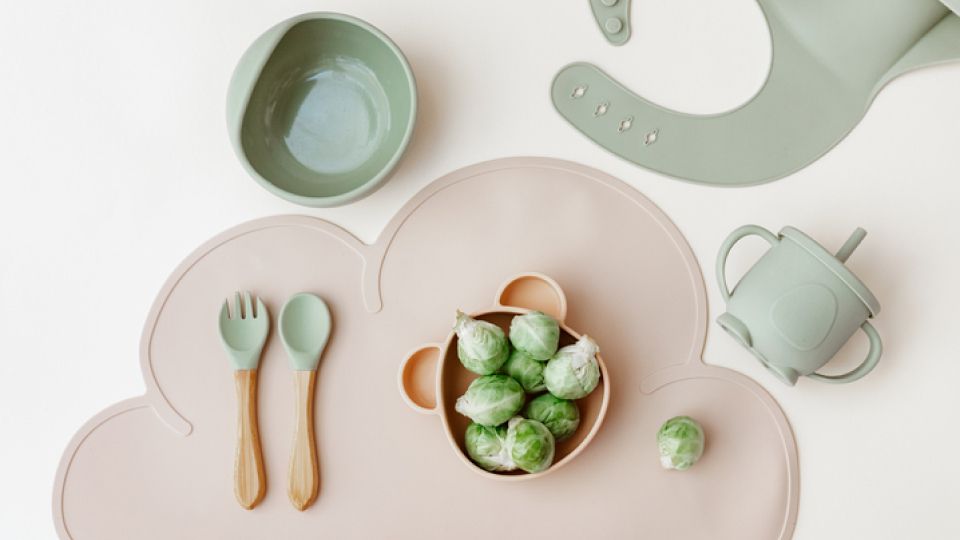 이유식 필요성, 시기, 먹이는 방법, 자세, 아이 음식