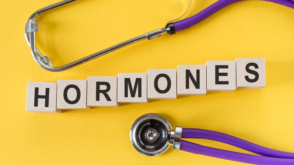 갱년기, 갱년기증상, 폐경, 폐경대처, 갱년기약, 갱년기극복, 갱년기극복법,