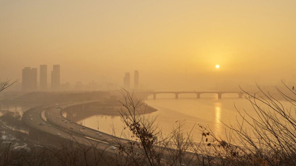천식, 미세먼지, 호흡기질환, 심혈관질환, 천식, 미세먼지 나쁨, 환기