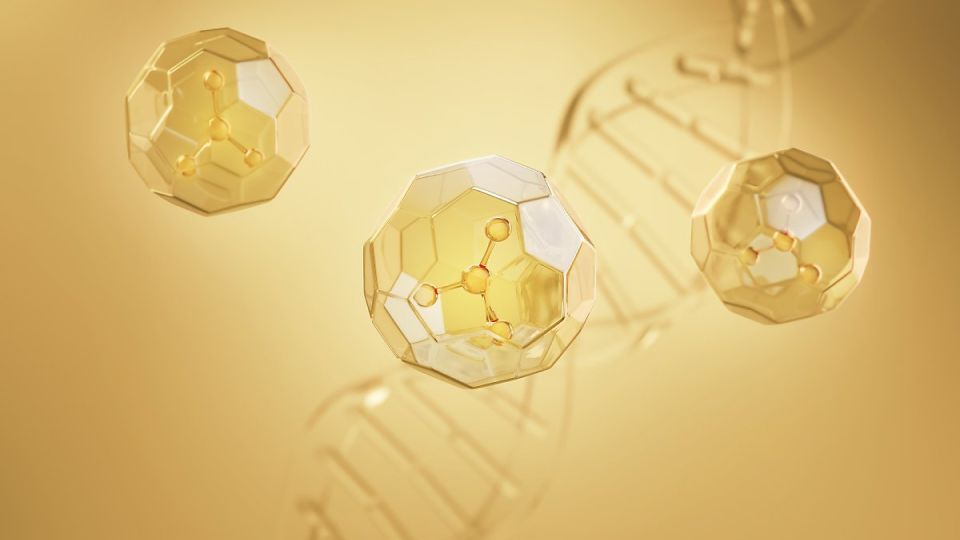 아르기닌 수액, 다이어트 수액, 비만 수액 주사, 아르기닌, 아르기닌 효과, 아르기닌 다이어트, 아르기닌 부작용