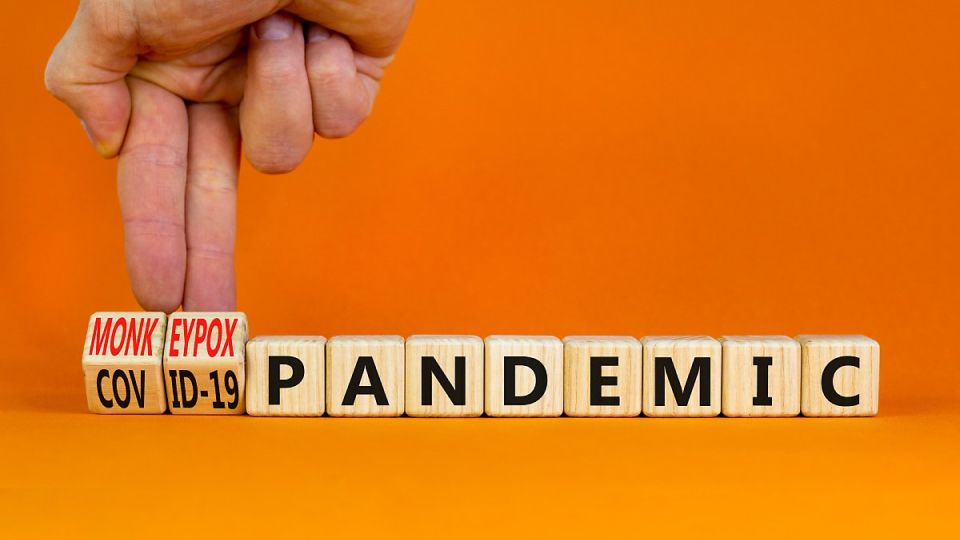 나만의닥터, 비대면진료, 원숭이두창, 원숭이, WHO, 풍토병, 수두, 원숭이두창증상, 원숭이두창확진자, 원숭이두창치료, 코로나새변이