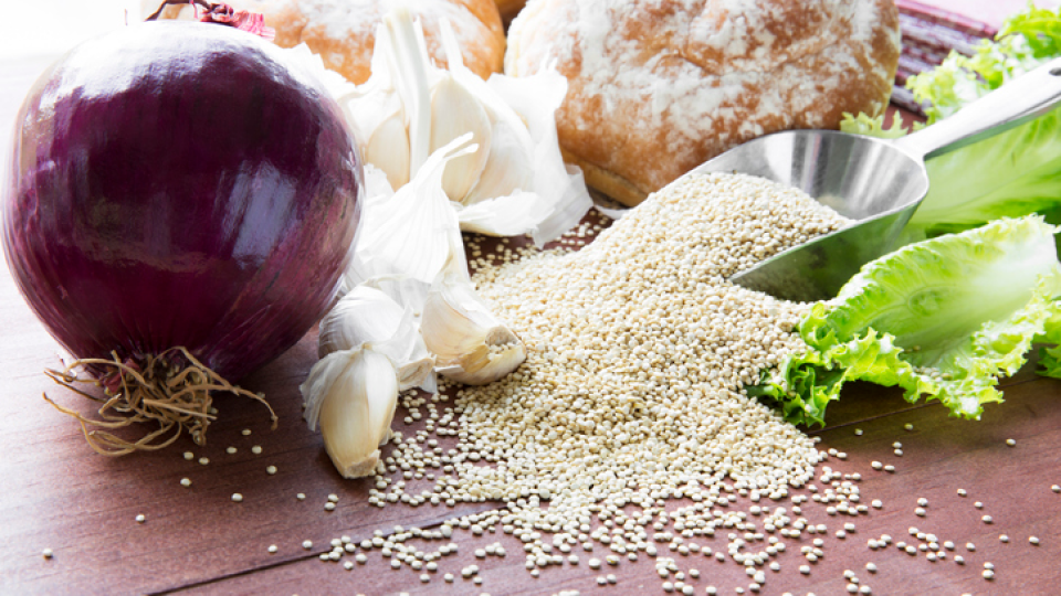 복통, 유발하는 음식, 적정 섭취량, 포드맵 식품, 고지방 식품