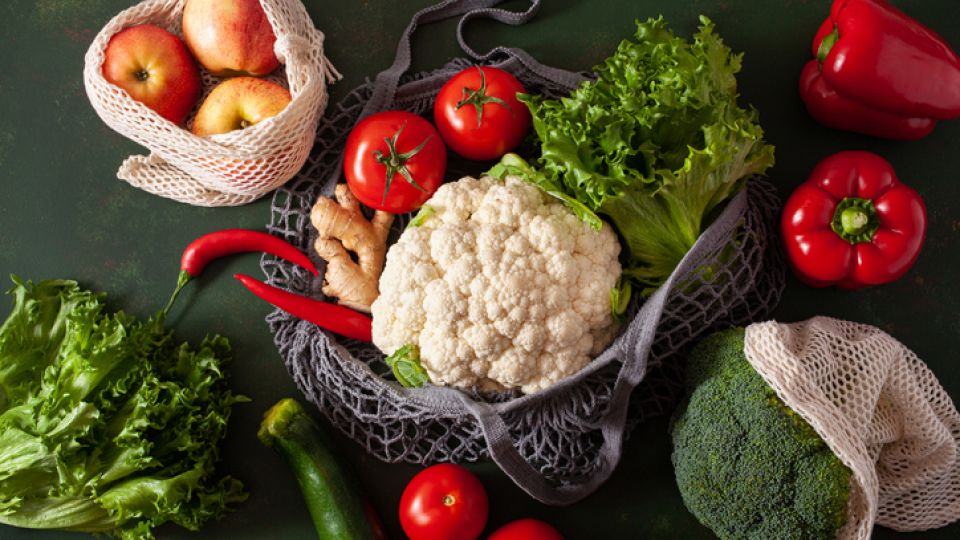 블루라이트, 청색광, 눈 건강, 안구건조증, 안구건조