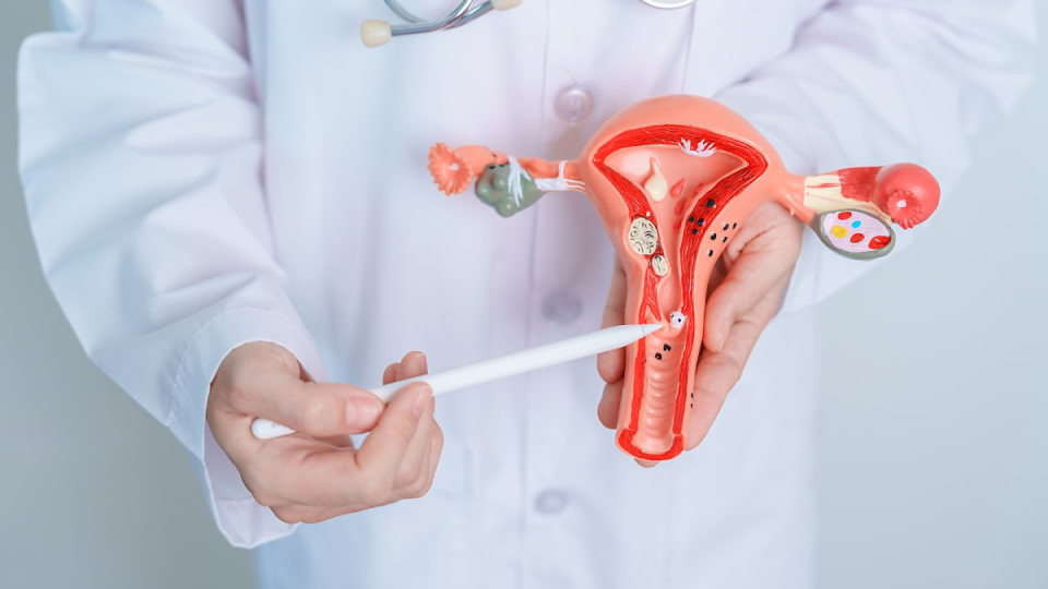 자궁경부암, 백신, 가다실, HPV, 성병