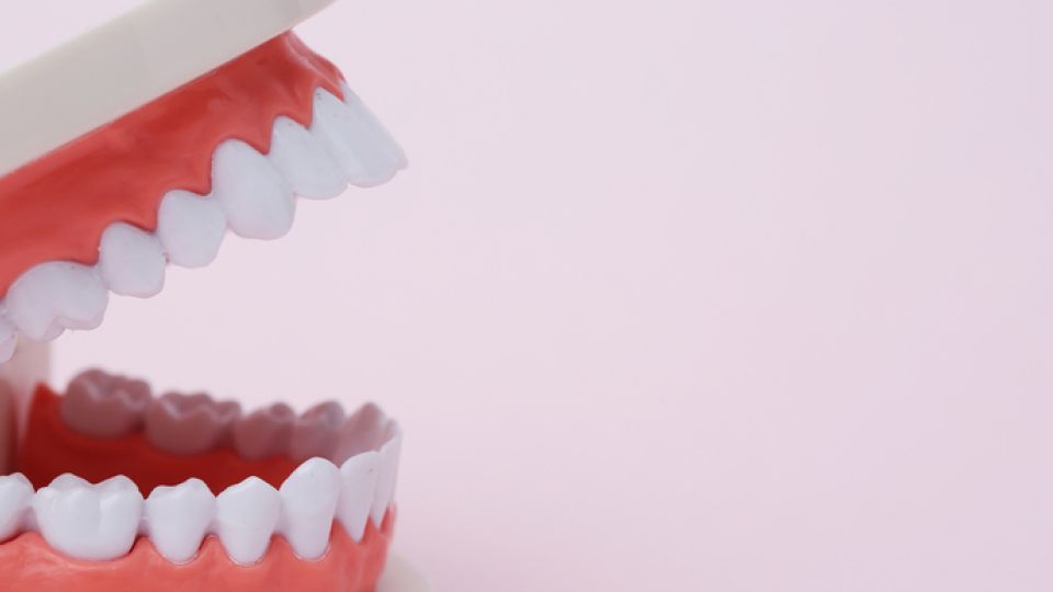 오랄비, 전동칫솔, 구강건강, 구강관리, 칫솔질