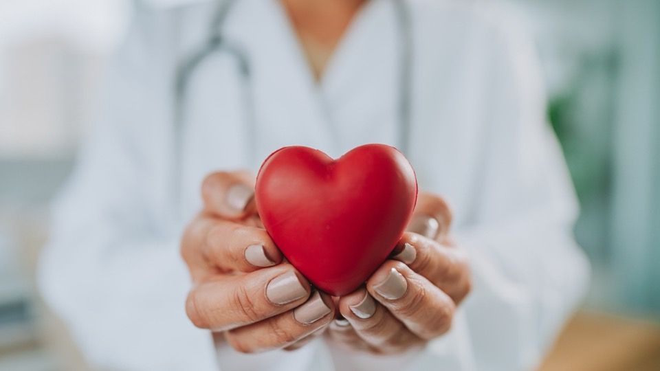 Mounjaro and cardiovascular disease - doctor in a white coat holding a red heart model