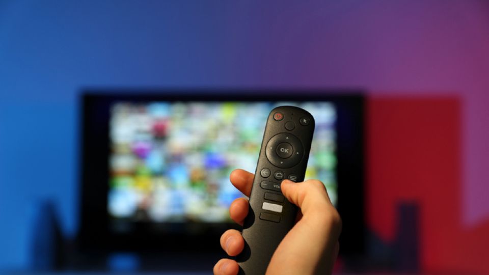 육아 고민, 언어 발달, TV시청, 가족 관계, 동생, 언어 습득