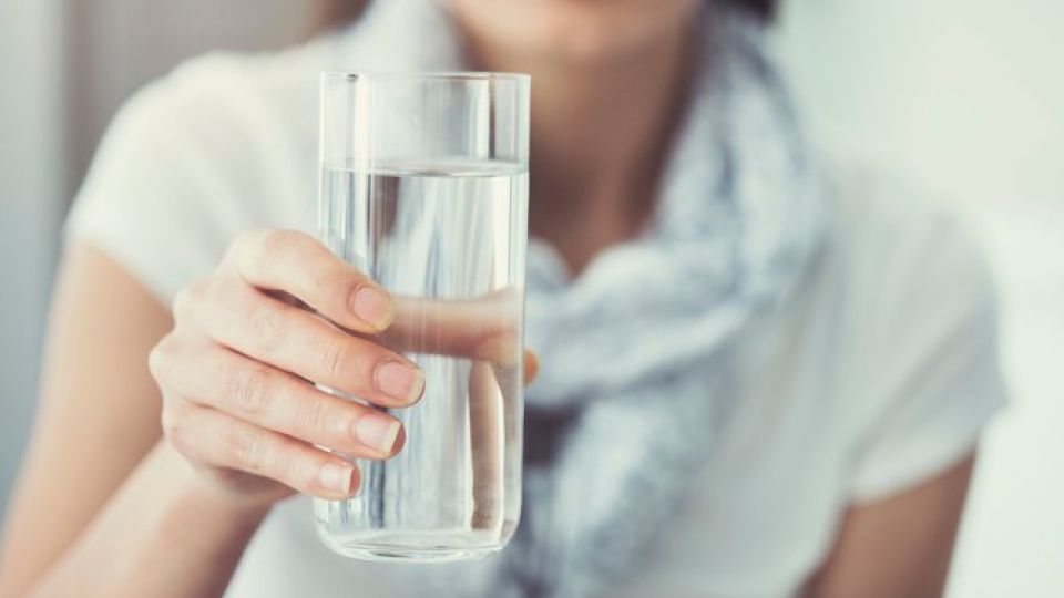 통풍, 통풍증상, 통풍치료, 통풍예방, 통풍가족력, 통풍치맥, 통풍초기증상, 통풍초기