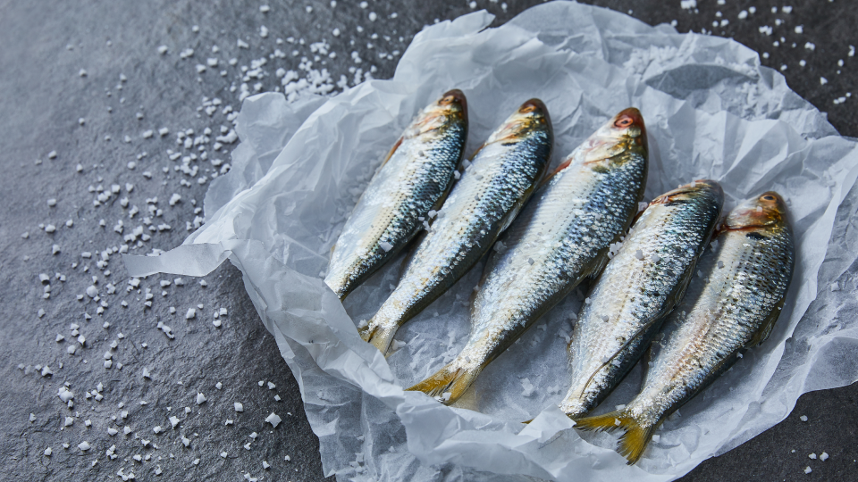 비타민, 기능, 부족, 보충제, 얻는 법