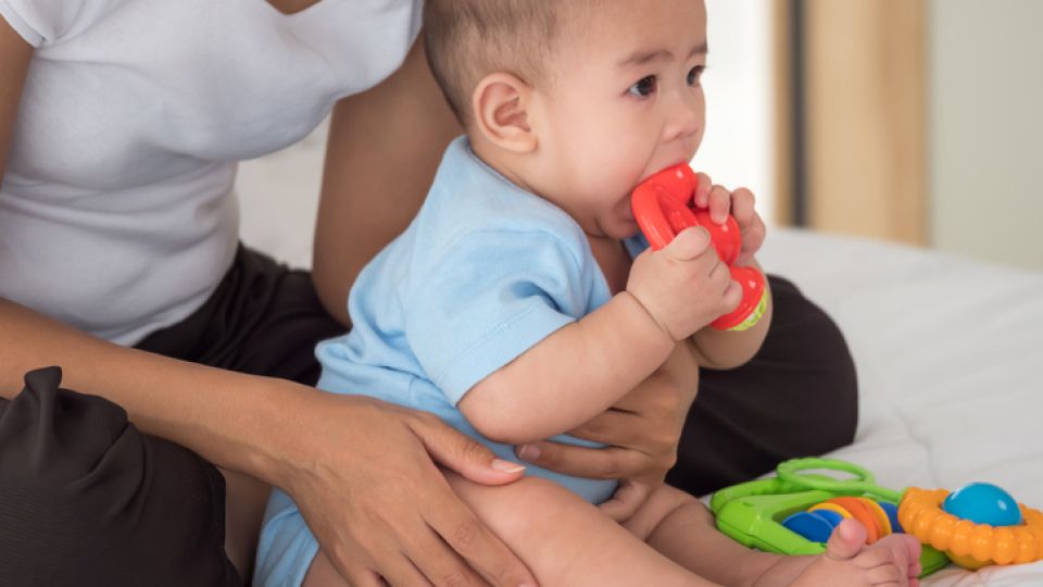 안전사고 대처법, 응급조치, 숨막힘, 기도 막힘, 코피, 추락, 낙사, 개물림