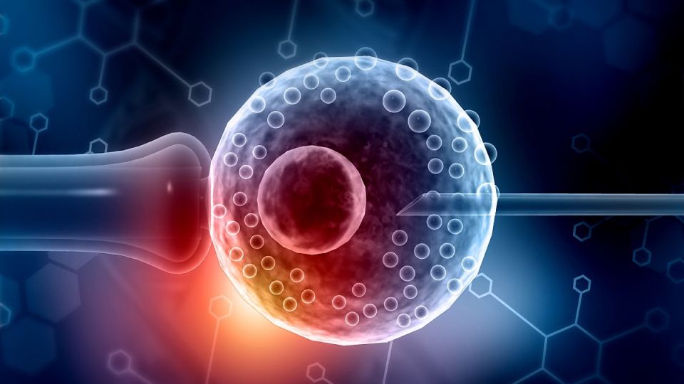 배란혈,생리혈,착상혈,생리,월경,임신,착상,배란