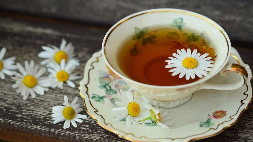 고지혈증, 고지혈증에좋은음식, 고지혈증예방, 고지혈증에나쁜음식, 고지혈증음식, 고지혈증에좋은차, 고지혈증에피해야할음식, 고지혈증에좋은식품, 고지혈증진료