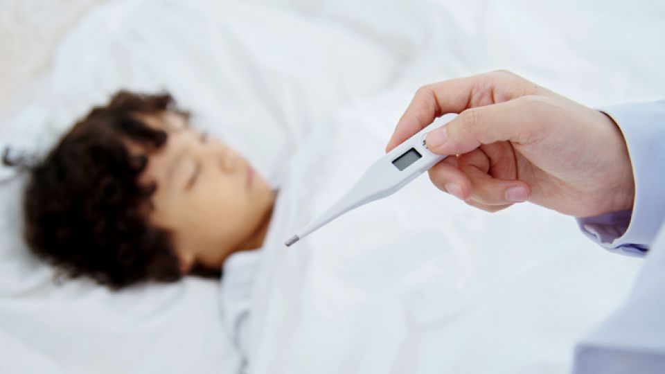 마이코플라즈마, 마이코플라즈마 증상, 마이코플라즈마 원인, 마이코플라즈마 예방법, 마이코플라즈마 치료, 기침, 고열