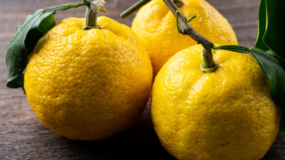 유자, 유자차, 골다공증, 빈혈, 피부 건강, 피로회복, 다이어트