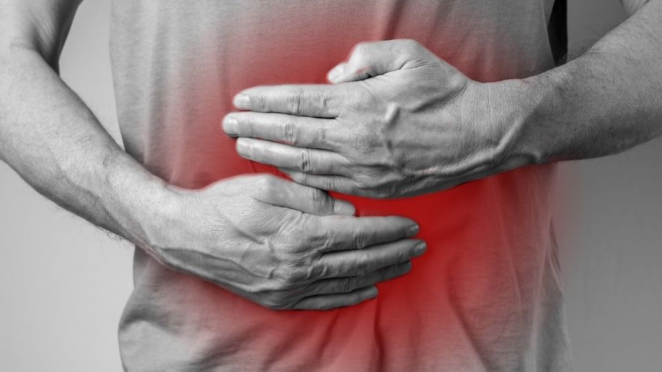 고지혈증, 고지혈증증상, 콜레스테롤, 고지혈증치료, 고지혈증진료, 고지혈증원인, 고지혈증초기증상, 콜레스테롤낮추는방법