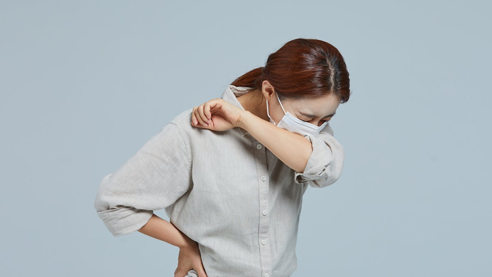 독감, 면역력, 염증, 예방, 음식