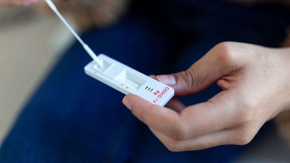 코로나 검사.jpg