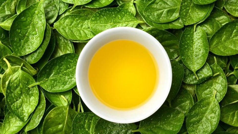 스트레스, 배고픔, 가짜배고픔, 스트레스 영향, 스트레스 관리법