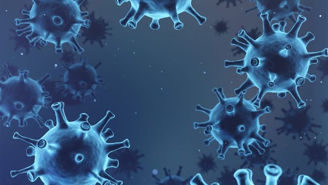 코로나, 감기, 코로나증상, 감기증상, 코로나자가진단키트