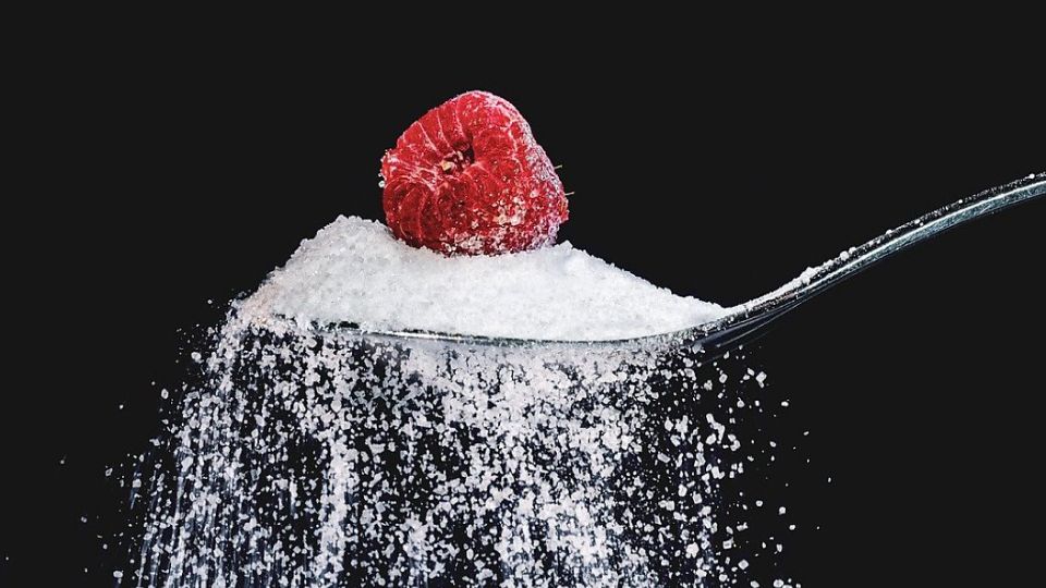 고지혈증, 고지혈증증상, 콜레스테롤, 고지혈증치료, 고지혈증진료, 고지혈증원인, 고지혈증초기증상, 콜레스테롤낮추는방법