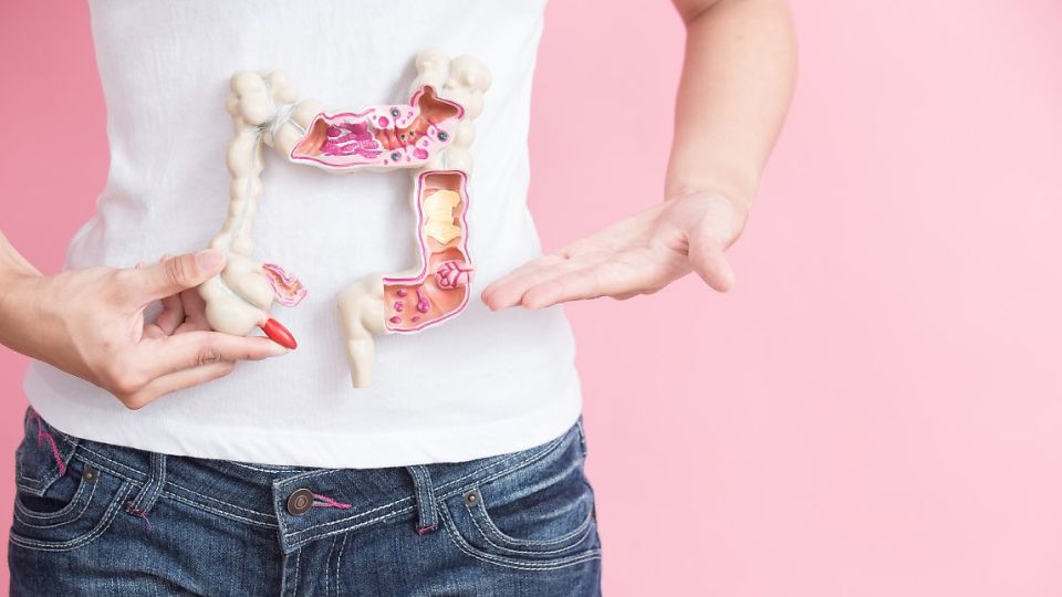 변비, 대장암, 직장암, 치질, 치핵, 대장항문질환, 대장암증상, 직장암증상, 변비증상, 치질증상