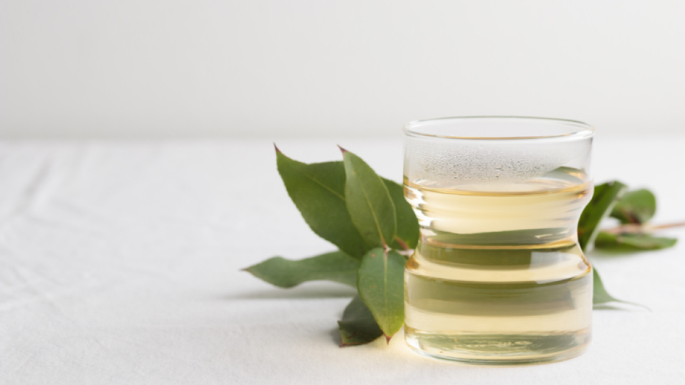 녹차, 커피, 다이어트, 카페인, 섭취량