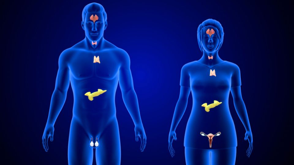 비타민, 비타민종류, 비타민효과, 수용성비타민, 지용성비타민, 비타민B, 비타민C, 비타민A, 비타민D, 비타민E, 비타민K, 비타민과잉증, 비타민일일권장량