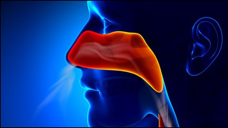 후비루,후비루증후군,후비루치료,후비루원인,후비루증상,후비루진료,후비루합병증,후비루기침