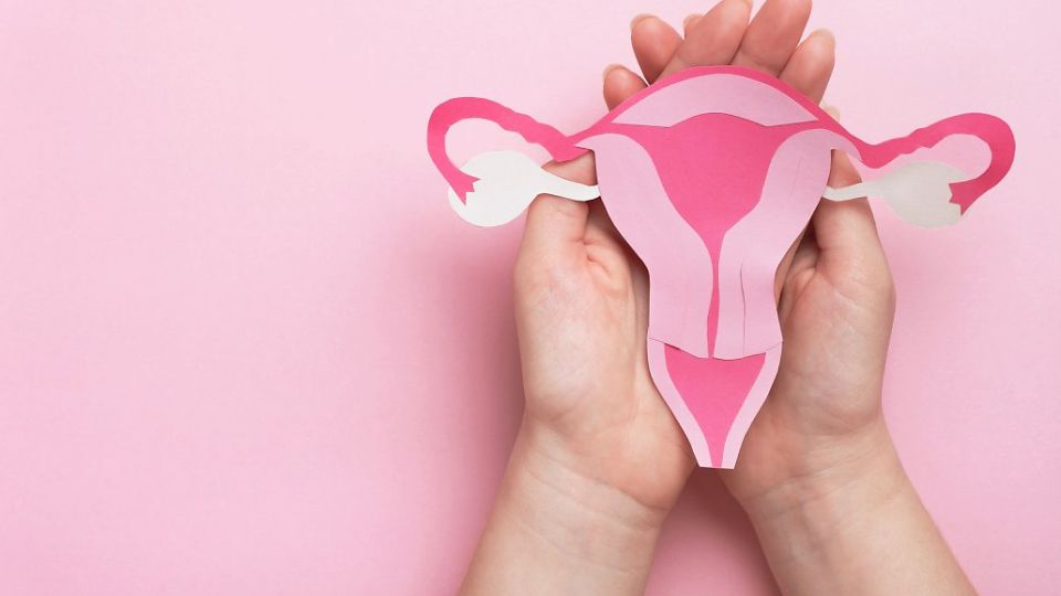 배란통, 배란혈, 배란기출혈, 월경, 가임기, 배란일, 배란, 기초체온법, 자궁경부점액관찰법, 배란테스트기