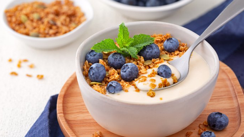 면역력, 감기, 항산화, 면역반응, 항생물질