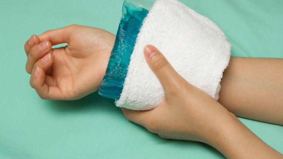 벌쏘임, 벌독알레르기, 벌알레르기, 벌쏘임응급, 벌쏘임대처방안, 벌쏘임예방, 벌쏘임 사고, 벌쏘임사고예보제