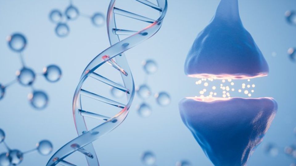 여름철식욕부진, 식욕감소, 여름철식욕저하, 식욕저하이유, 식욕저하원인, 식욕부진원인, 식욕돋구는음식, 식욕돋구는과일, 식욕회복법